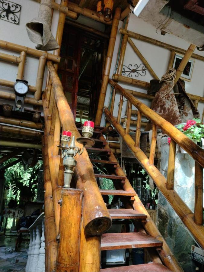 Hospedaje Rural Tupinamba Ibagué エクステリア 写真