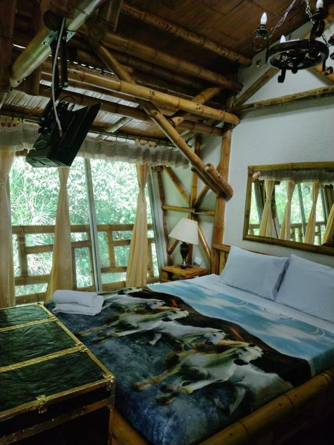 Hospedaje Rural Tupinamba Ibagué エクステリア 写真