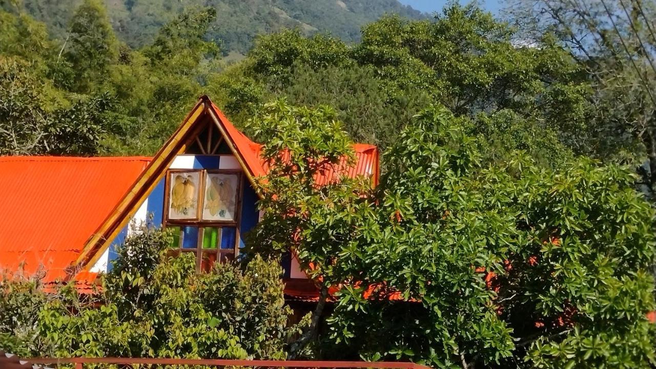 Hospedaje Rural Tupinamba Ibagué エクステリア 写真